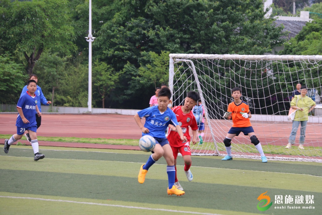 关于田径赔率刷新纪录，竞猜热度飙升的信息