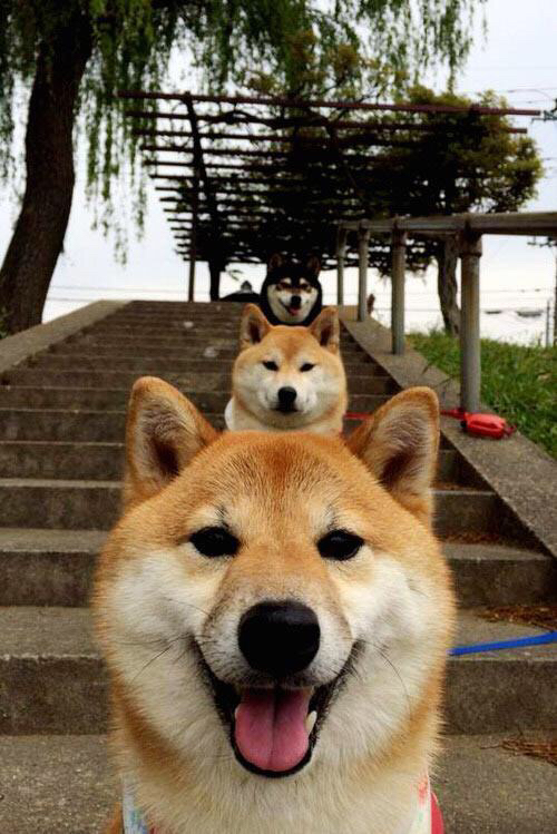 开云体育-他唯一知道的赢法，伦纳德与西决生死战的寂静燃烧