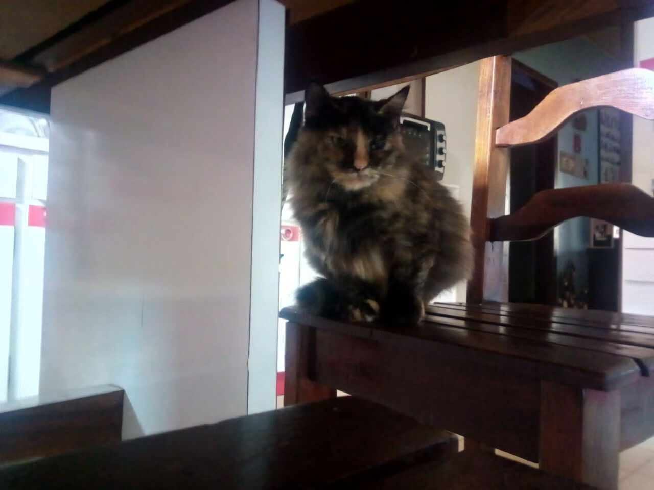 双线战争,当澳大利亚一波带走巴黎,李刚仁在欧冠决赛接管比赛