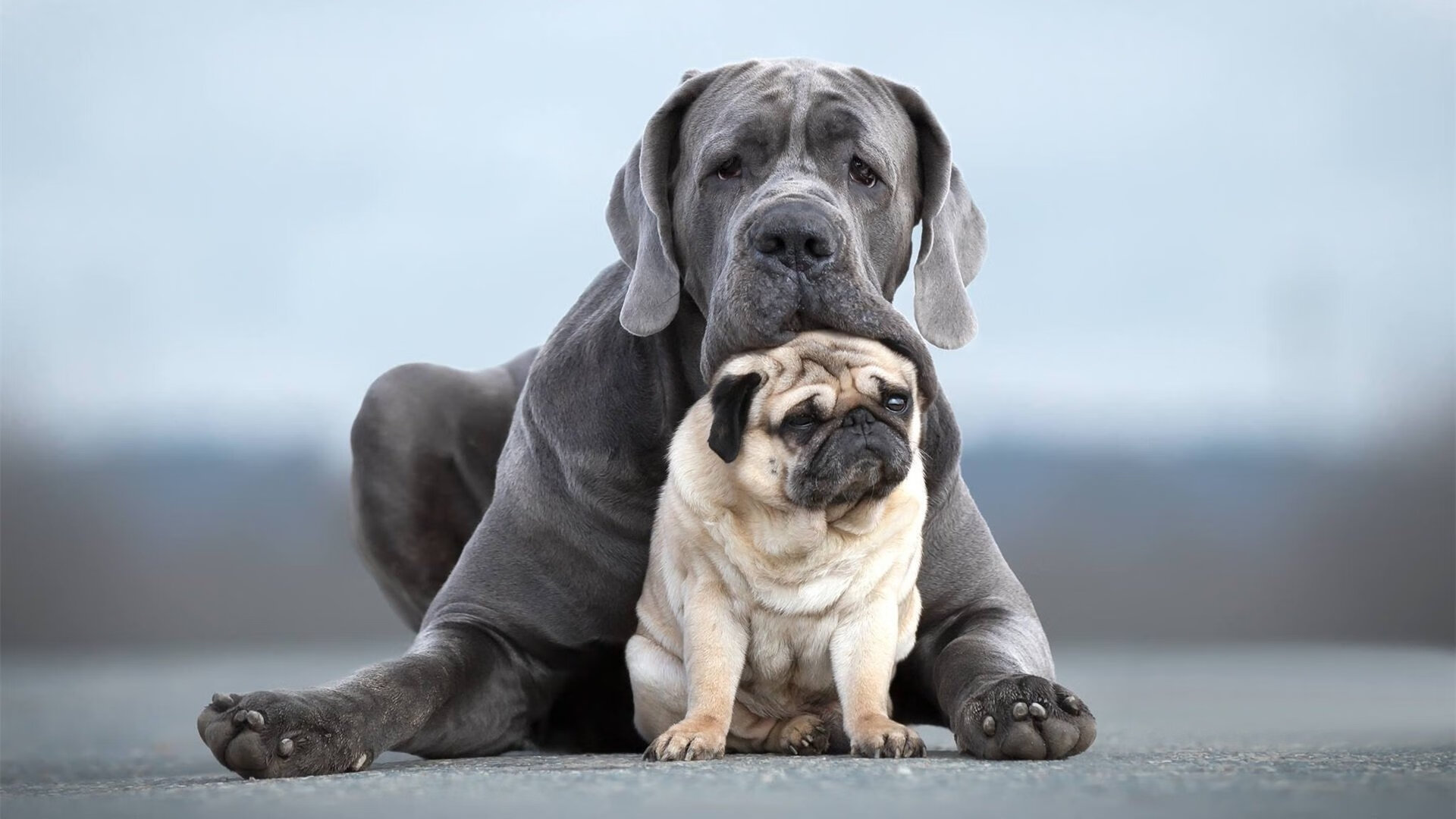 奥运足球的双重奏,埃及加时取胜韩国,梅西关键战接管比赛