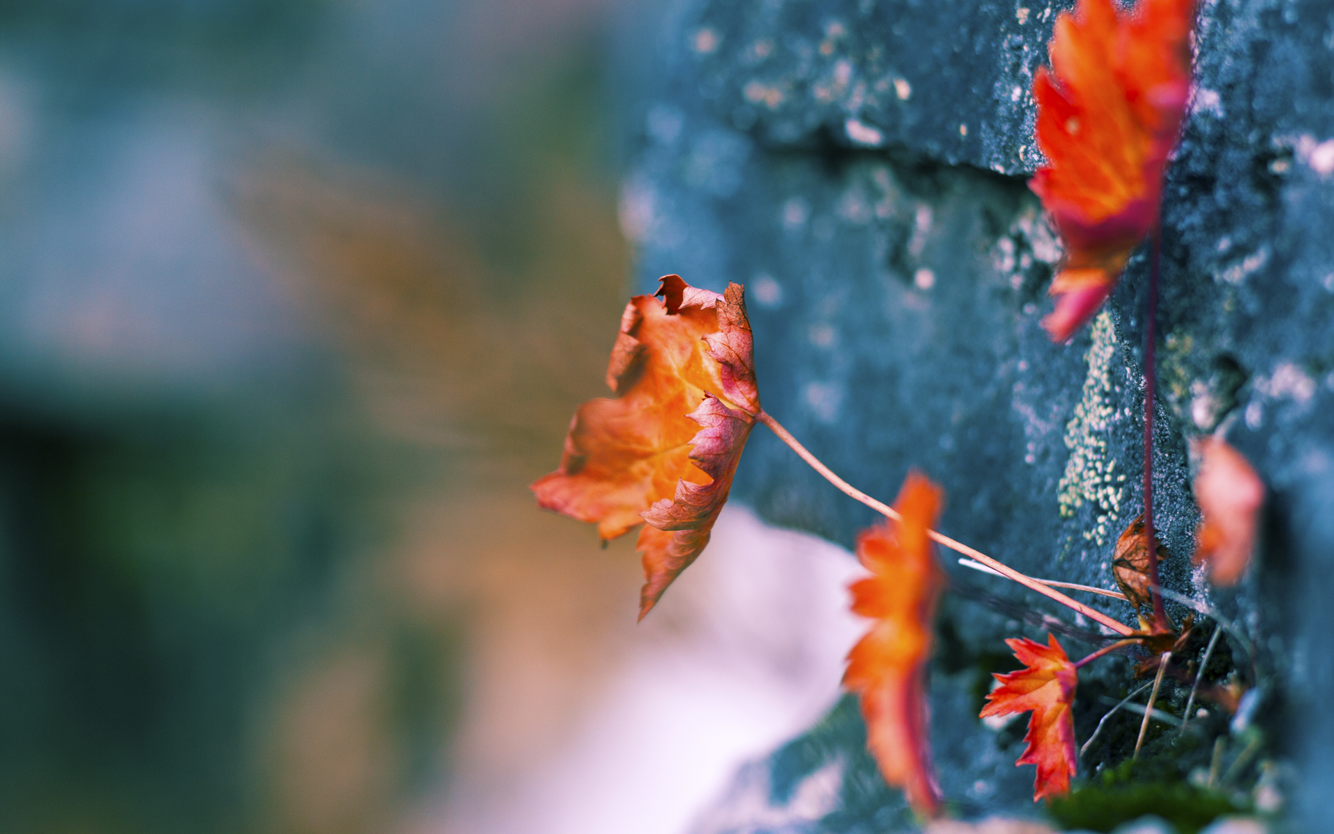 开云体育app-国家德比之夜，罗德里掌控攻防转换的艺术