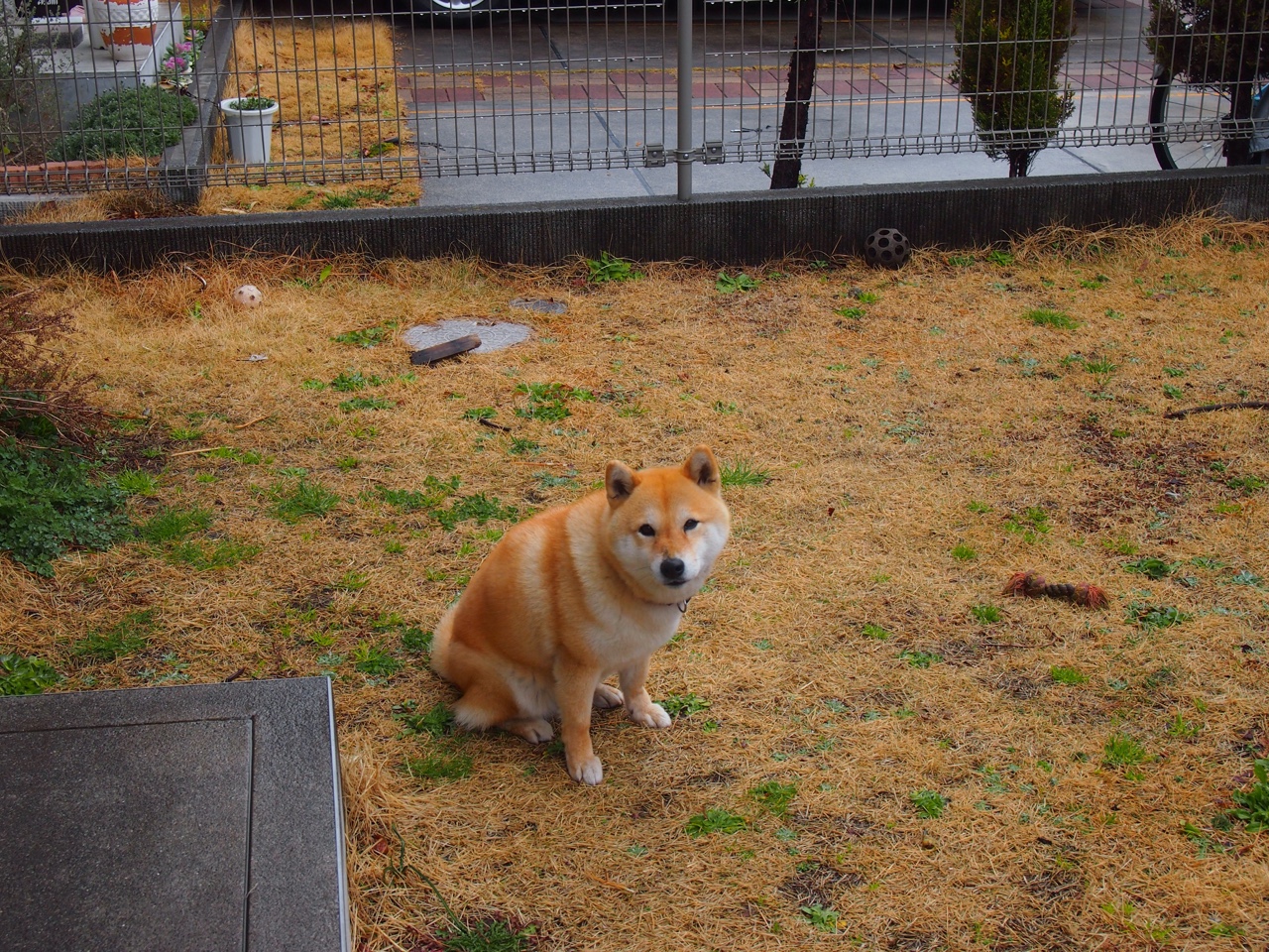 开云体育中国-绿茵解码，维尼修斯如何以一己之力终结秘鲁风暴