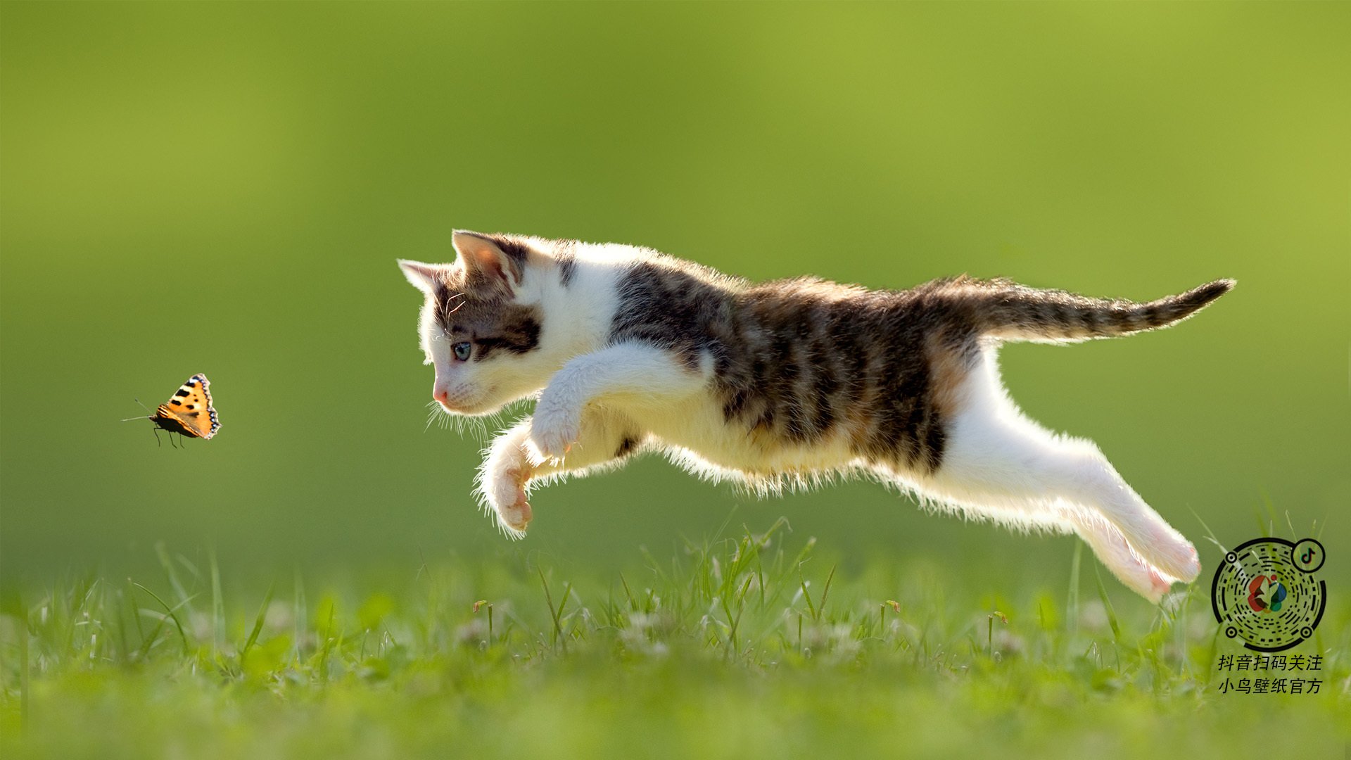 开云体育在线-跨界协奏曲，当阿尔瓦雷斯将任意球弧线画在西决生死战之夜