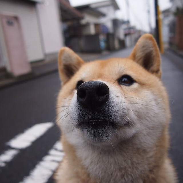 开云体育在线-绝境亮剑！硬仗之王乔治一剑封喉，新疆生死战碾碎广厦