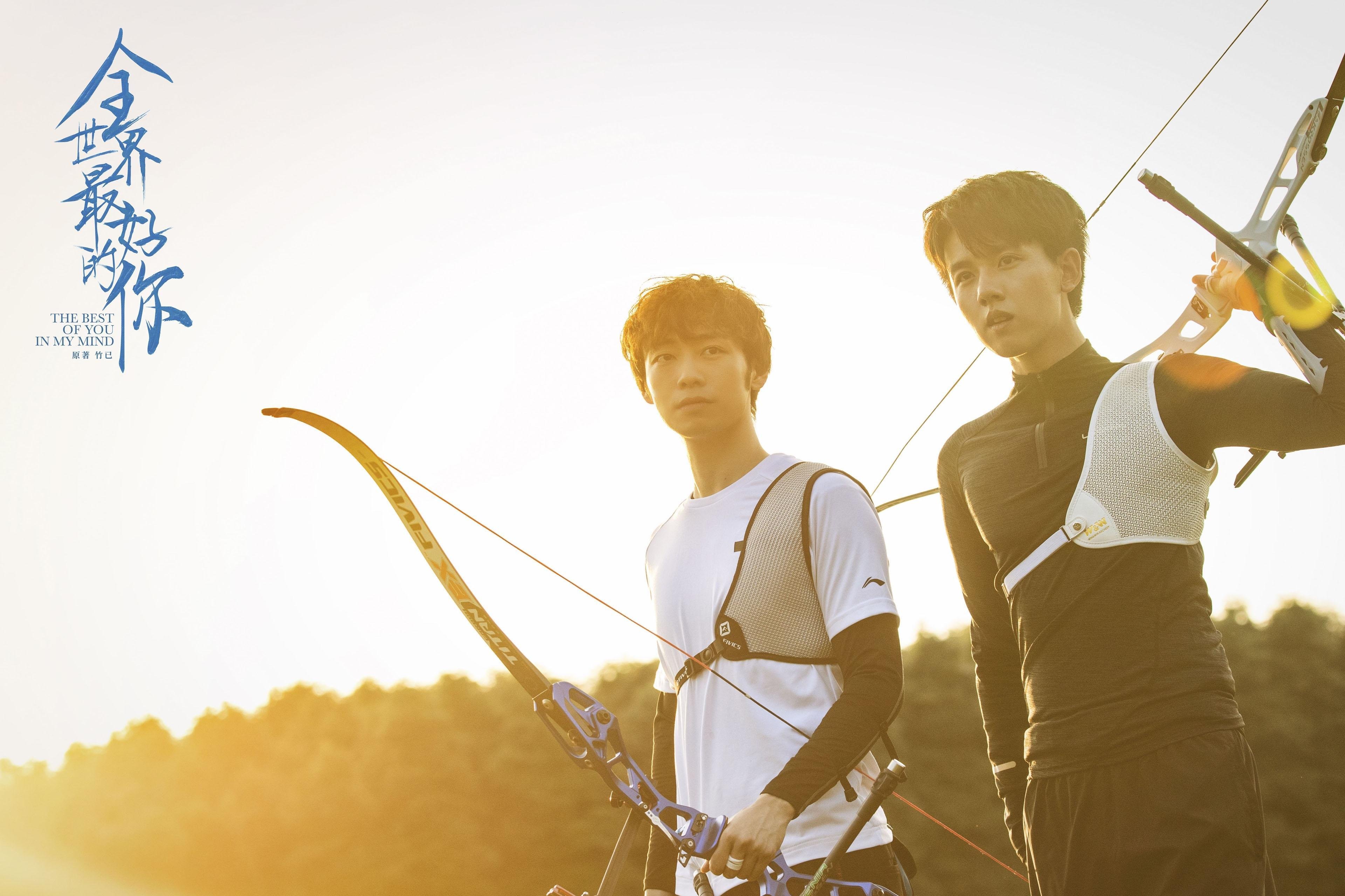 当上帝穿上黑白衫,伊布对阵丹麦的封神之夜