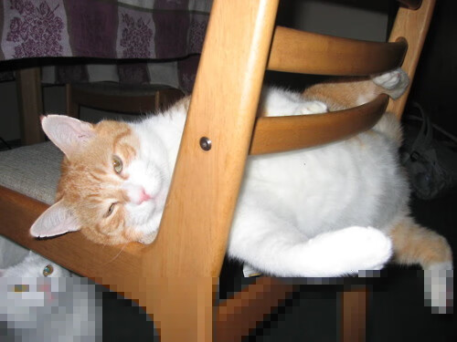 独舞与协奏曲，爱德华兹末节狂飙，湖人轻取快船的背后隐喻