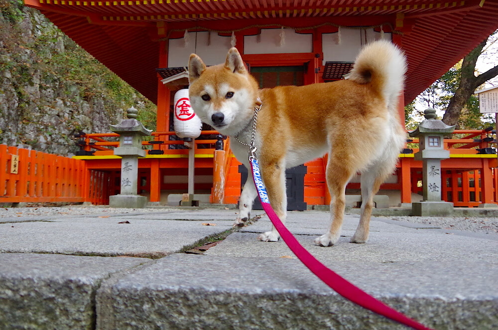 末节逆袭！乔治关键接管，灰熊逆风翻盘，快船末节崩盘暴露隐忧
