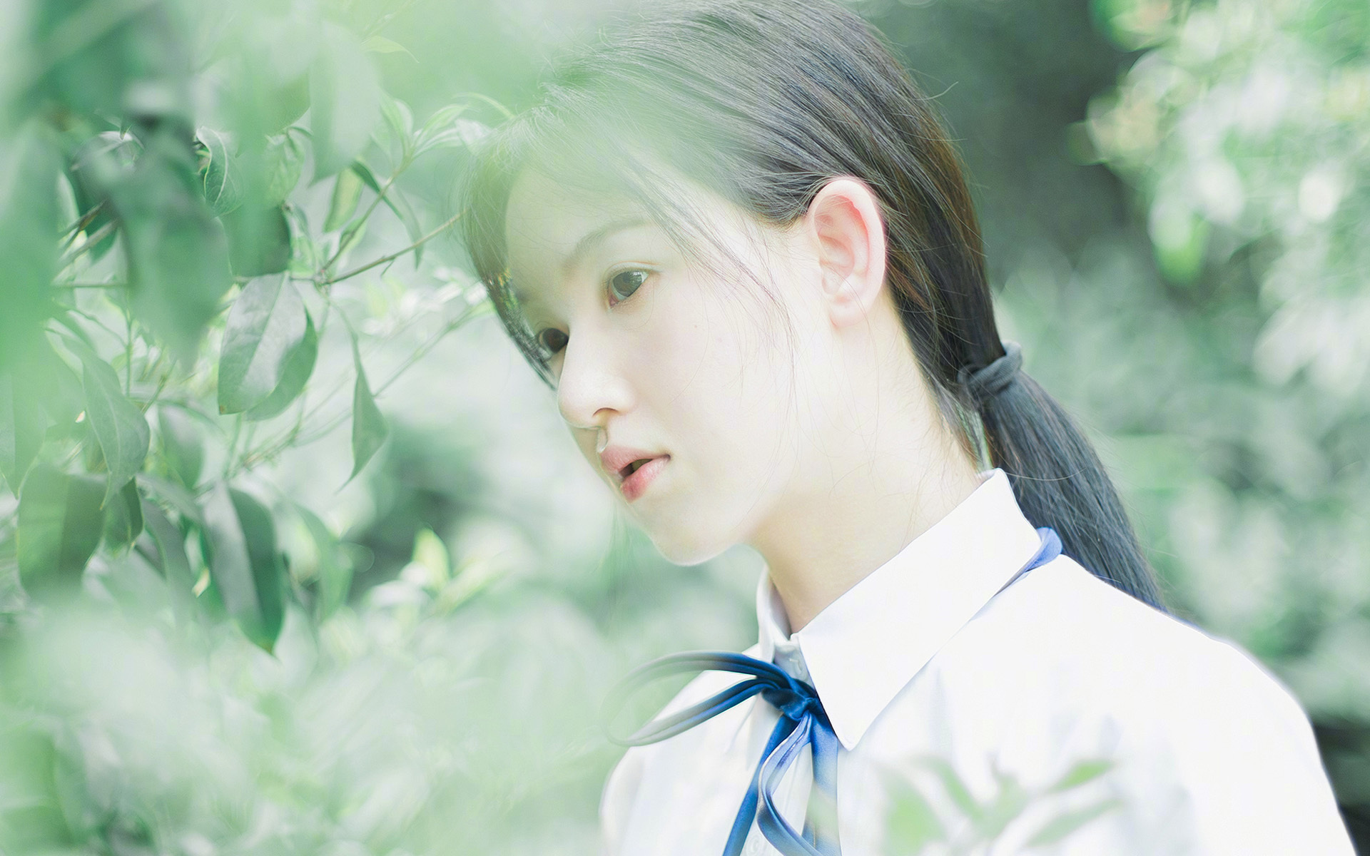 跨界燃烧,当国家德比的呐喊与骑士逆转的咆哮在同一夜晚回响