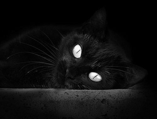 开云体育登录-极速与篮网，F1揭幕战与魔术淘汰赛背后的竞技密码