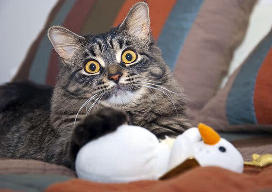 断骨之战,奇才逆天改命,字母哥末节18分凿穿掘金高原