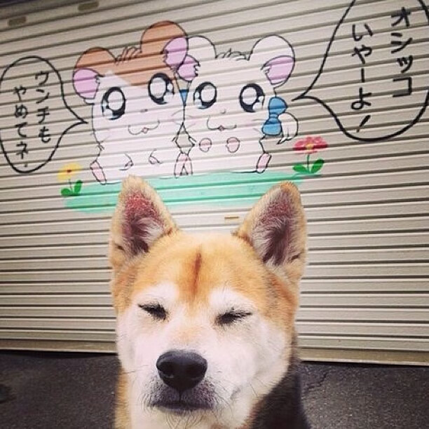 高原魔咒与欧冠灵魂的对决，莫德里奇一记穿越利物浦的玻利维亚旋风