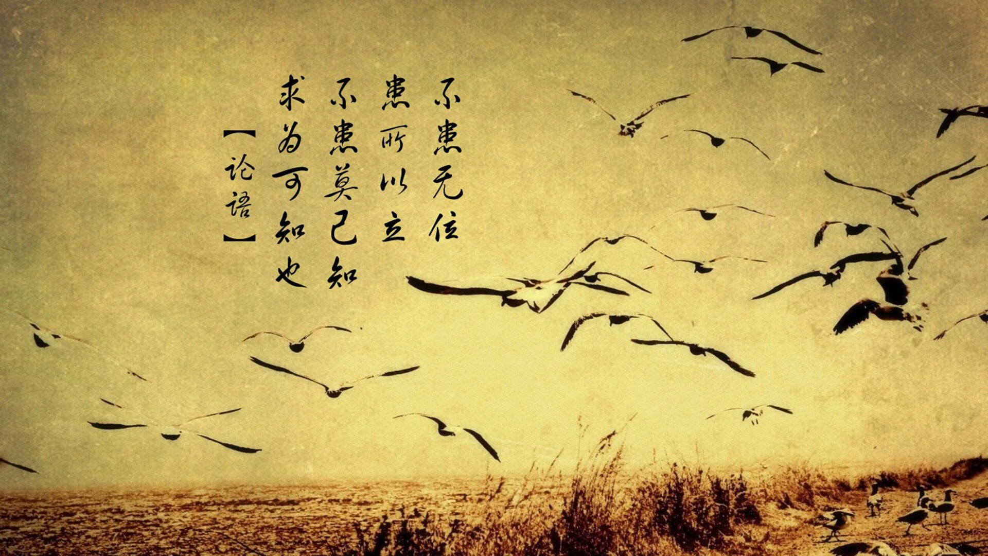 节奏的独裁者,当摩洛哥的压迫美学遇上维尼修斯的灵魂舞步