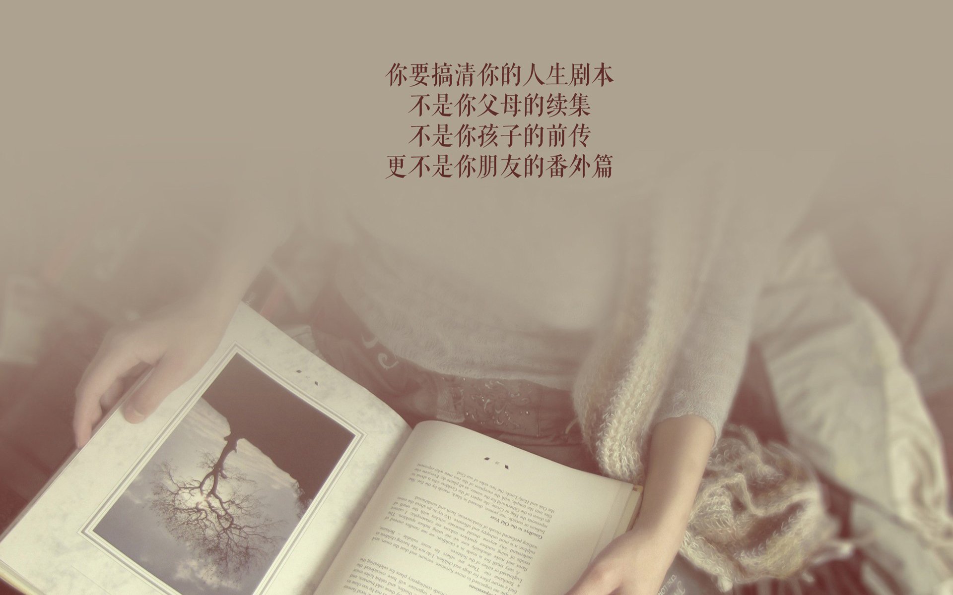 E组双雄会，摩洛哥铁蹄踏碎保加利亚，久保建英用进球点亮日本进攻之光—2026世界杯关键战纪实