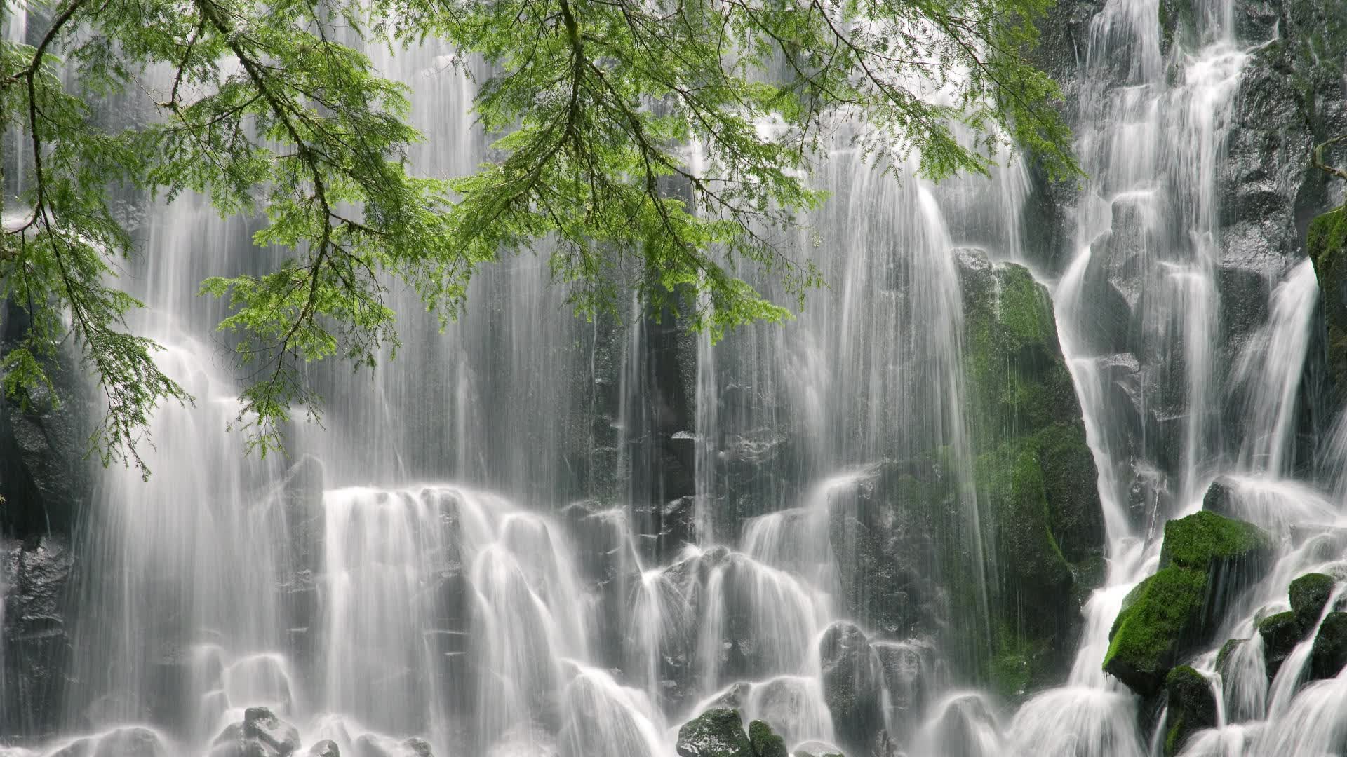 开云体育入口-F组的致命魔术，当贝林厄姆的穿云箭，为奥地利解开通往16强的波斯密码